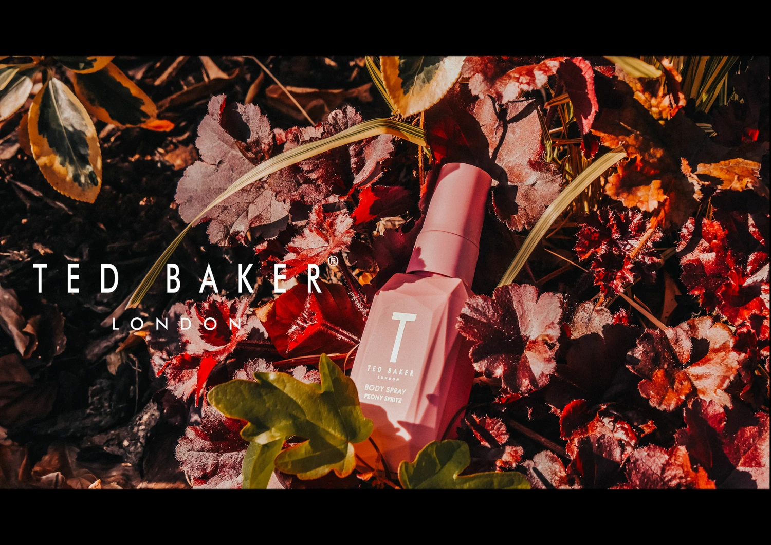 tedbaker Shop Online -tedbaker Shop Online e3af11133927661.61c9eff6d7449