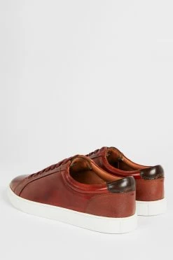 Ted Baker Brown Udamo Leather Trainers 9 Ted Baker Brown Udamo Leather Trainers -tedbaker Shop Online unnamed file 3552