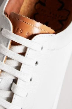 Ted Baker Natural Udammo White-Tan Leather Sneaker -tedbaker Shop Online unnamed file 3602